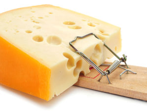 Бесплатный сыр в мышеловке